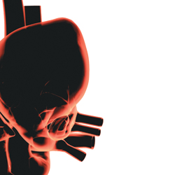 Heart valves