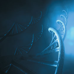 DNA
