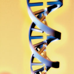 Genetics and hemophilia
