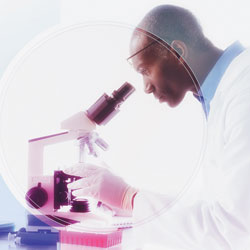 Researcher studying hemophilia