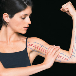 Woman showing strong arm