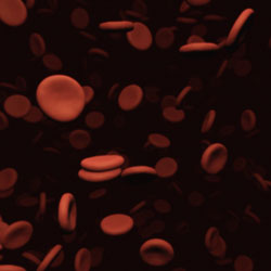 Red blood cells for parvovirus article