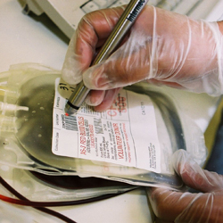 Blood donation bag