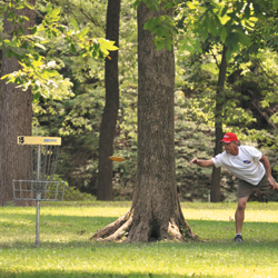 Young man playing disc golf